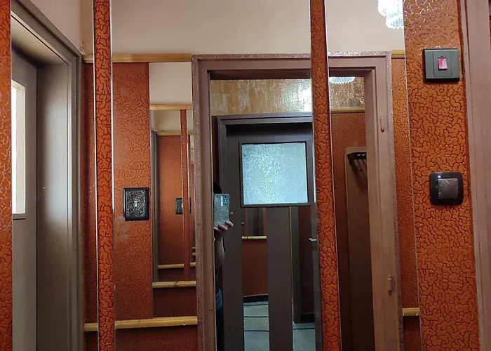 Insta Haus 플로브디프