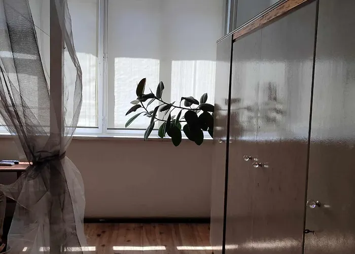 Insta Haus * 플로브디프